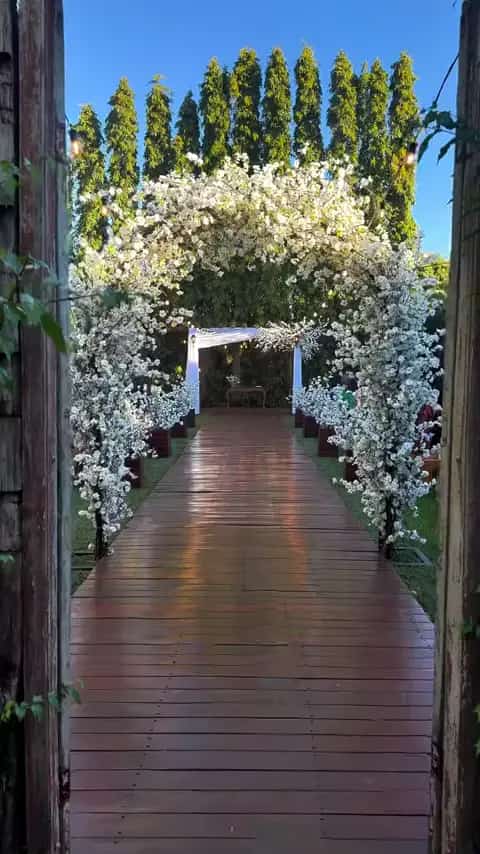 Registro de casamento no Espaco Imperial 47